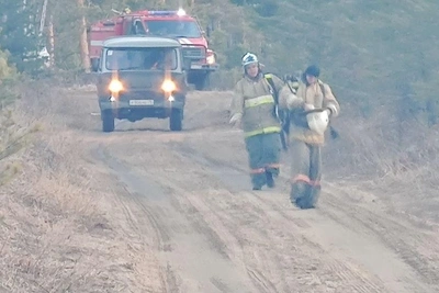Более 50 человек тушат пожар в Атамановке под Читой