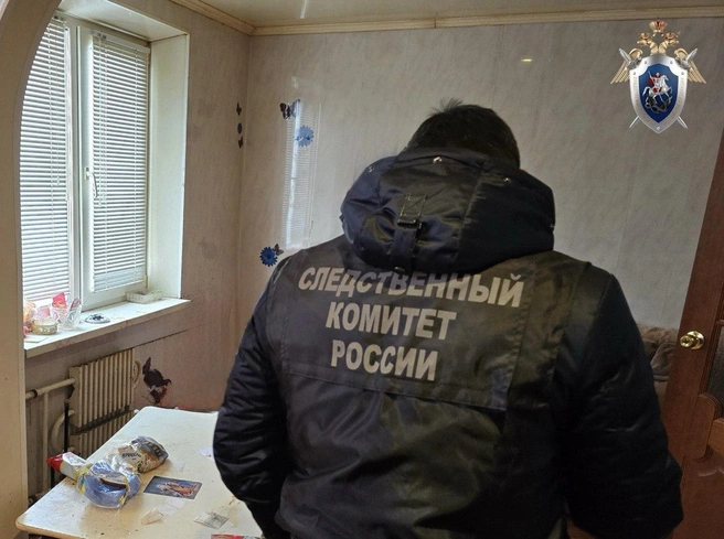 Источник: СУ СК РФ по Оренбургской области