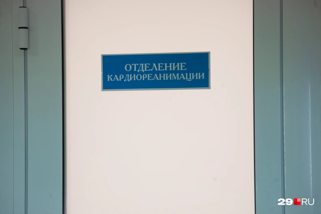 Врач объяснила, какие болезни сердца встречаются чаще всего | Источник: Иван Митюшёв / 29.RU