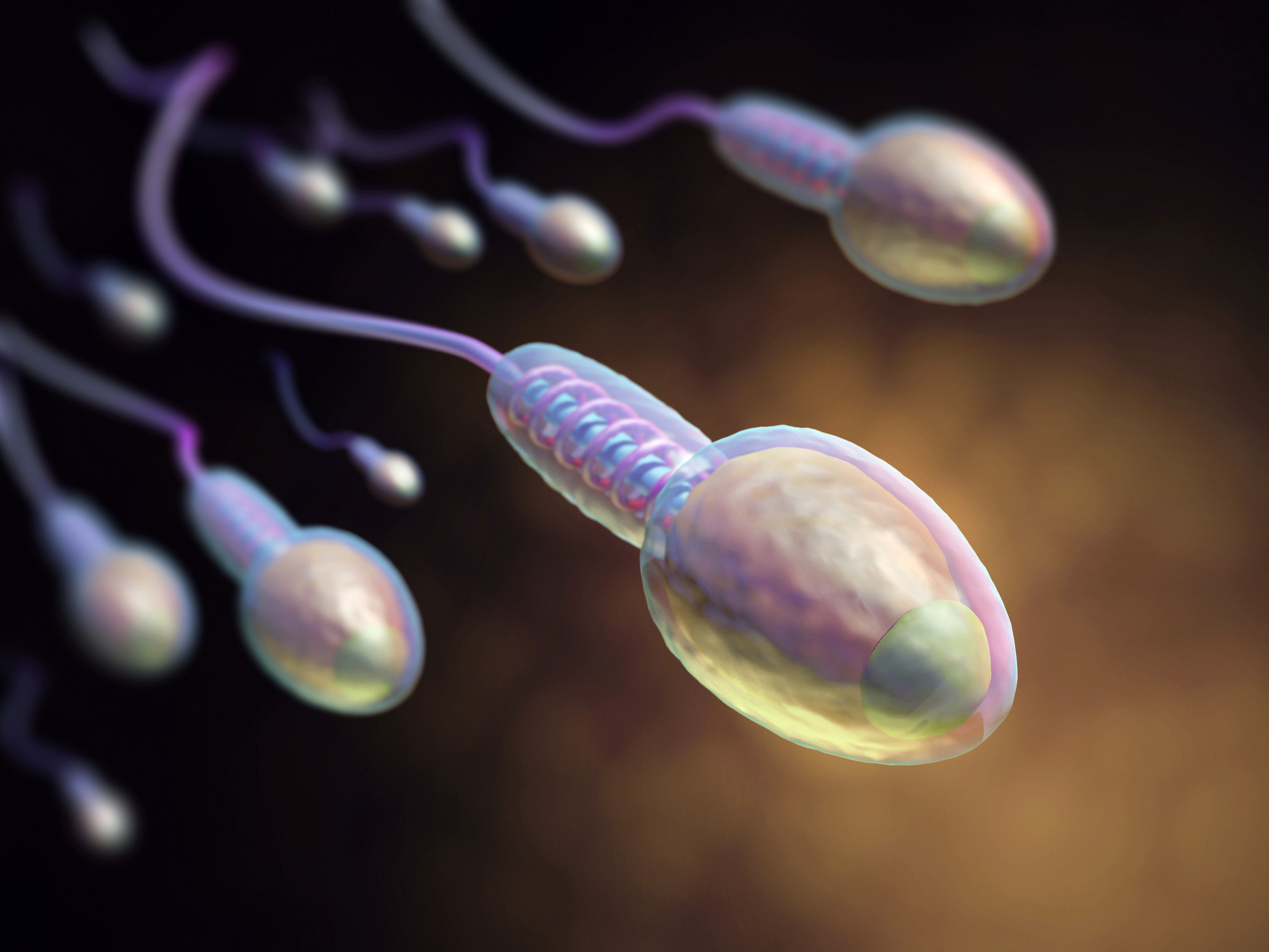мужская сперма полезна женскому организму фото 117