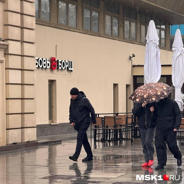 В апреле жителей Москвы ждет дождливая погода | Источник: Дмитрий Толстошеев / MSK1.RU