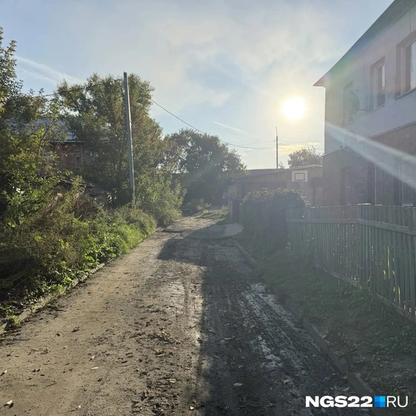 Источник: Полина Шевчукова / NGS22.RU