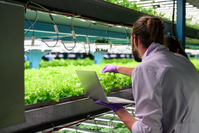 Источник: Shutterstock.com