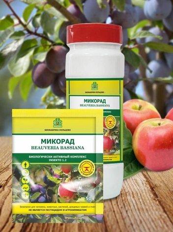Объявить бой вредителям помогут препараты «Микорад INSEKTO» | Источник: «Биофабрика Кольцово»