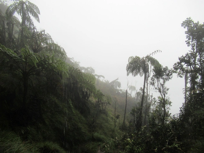 На высокогорье температура опускается до +5 градусов | Источник: Александр Фомичев