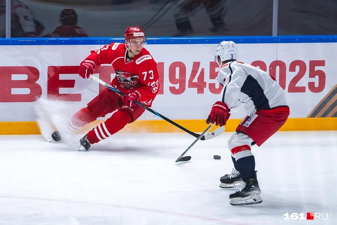 Источник: Евгений Вдовин / 161.RU