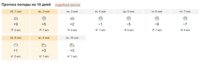 Такой прогноз на начало ноября дает сервис «NGS24.RU Погода» | Источник: pogoda.ngs24.ru