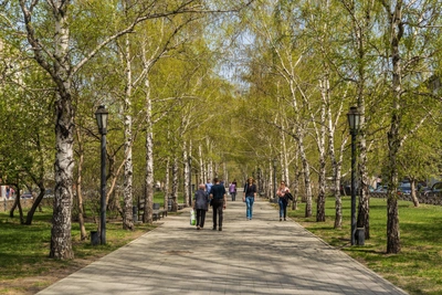 Дожди и тепло: прогноз погоды в Новосибирске на неделю