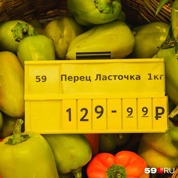 Источник: Тимофей Калмаков / 59.RU