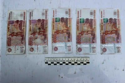 Двух орловских полицейских взяли под стражу за взятку