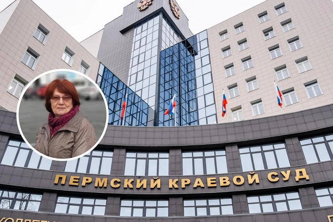 В краевом суде прошло предварительное судебное заседание по иску экс-руководителя управления по экологии в Перми Веры Седининой | Источник: Вера Сединина / Vk.com, Тимофей Калмаков