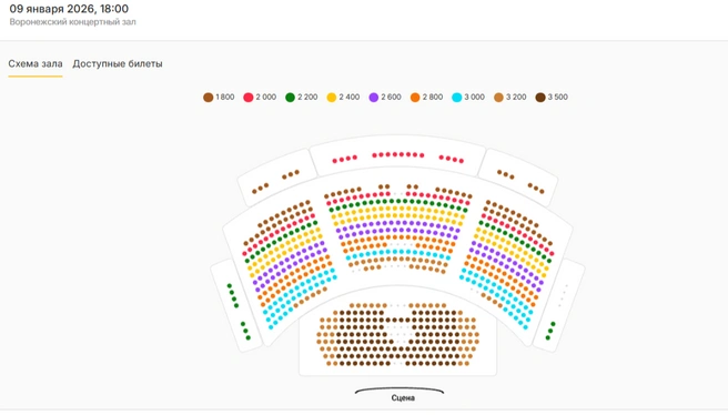 Источник: vrn.kassir.ru