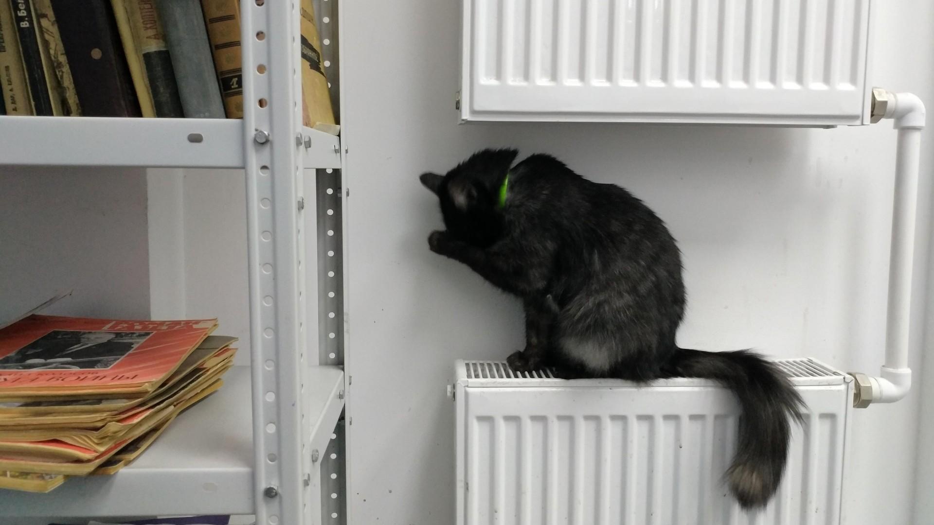 «Будем задыхаться за свои деньги?» Жители Башкирии спрашивают, когда отключат отопление в квартирах