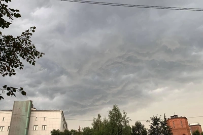 Дайджест 26 августа: гибель рыбы, отмена запрета и не только