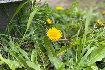 Разлив нефти, критика сердец, шторм: дайджест Татарстана