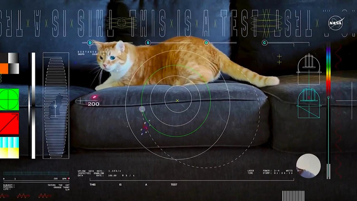 На Землю прислали видео из космоса, оно «пролетело» 31 млн км: на записи кот играет с лазерной указкой