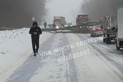 Дерево перекрыло дорогу между Новым Клейменово и Кастрово