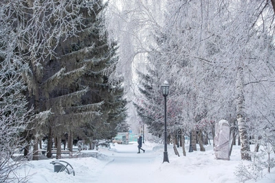 Night temperatures to plunge to -38°C in Novosibirsk Oblast