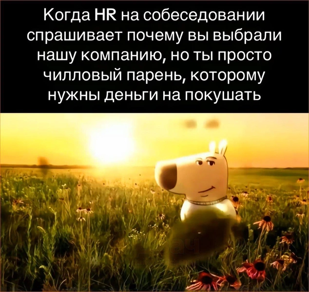 Источник: Соцсети