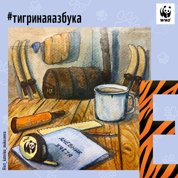 Фото №6 - Тигры от А до Я: WWF России и Woman.ru выпустили карточки об амурском тигре