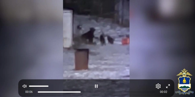 Кадр из видео полиции Бурятии в «Максе» | www.fontanka.ru