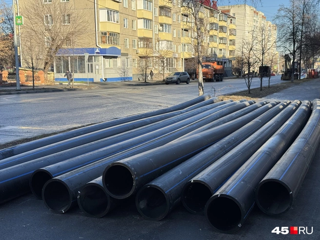 Источник: Юлия Король / 45.RU