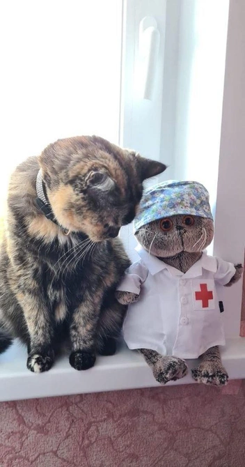 … То что доктор прописал» | Источник: читательница NGS24.RU Елена