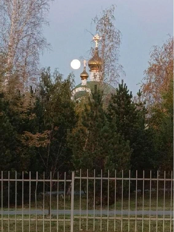 Это приятно. Значит, мы на одной волне  | Источник: читатель 74.RU