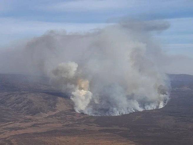 Источник: Александр Осипов | Губернатор Забайкалья / T.me