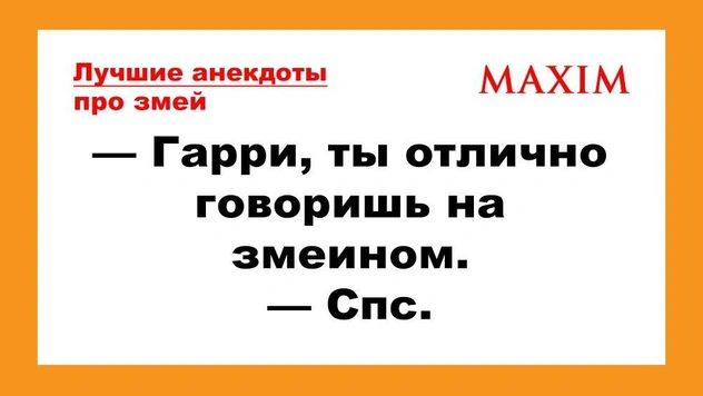 Лучшие анекдоты про змей