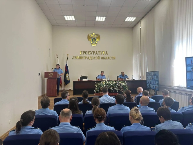Прокуратура Ленобласти рассказала, сколько уголовных дел СК было отменено в 2025 | Источник: Прокуратура Ленинградской области / Телеграм