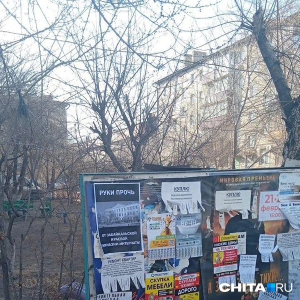 Источник: очевидец