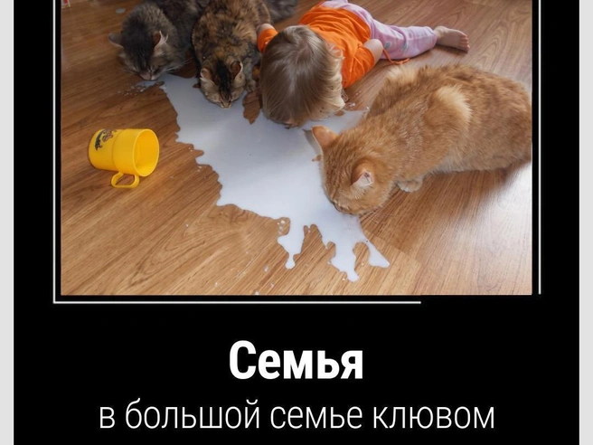 Молодцы, делятся друг с другом | Источник: Городские медиа