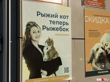 А следит за ними рыжий маскот сети | Источник: Николай Сальников / 56.RU