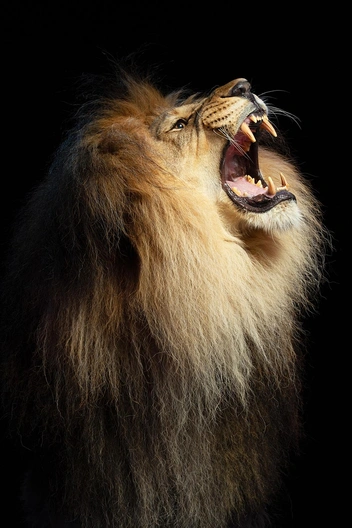 А это он же спустя 8 лет | Источник: Евгений Доманов