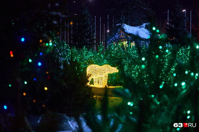 Люди, ау! Умка, ты ли это? | Источник: Роман Данилкин / 63.RU