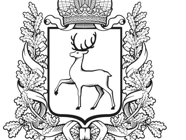 Источник: правительство Нижегородской области