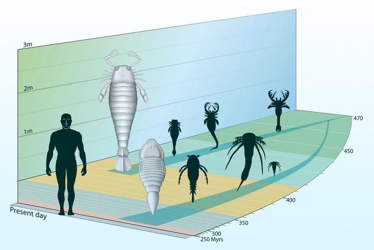 Совсем не «котики»: посмотрите на гигантского скорпиона, который терроризировал моря 460 млн лет назад