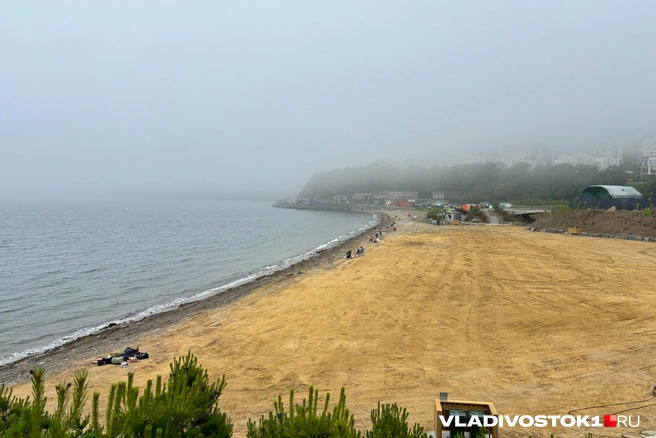 Что-то черное заметили в море | Источник: Елена Буйвол / VLADIVOSTOK1.RU