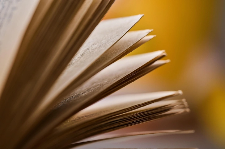 Книжный сентябрь: 10 разнообразных литературных новинок, которые заслуживают внимания этой осенью | Источник: JACKREZNOR/Shutterstock/Fotodom.ru
