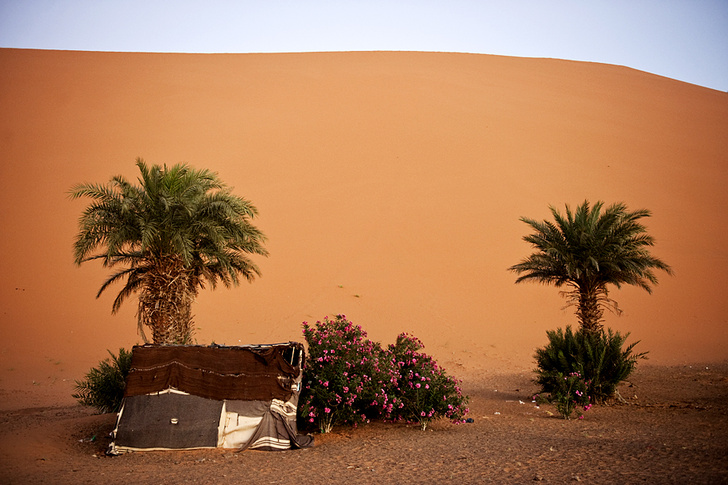 Дети пустыни: как марокканские берберы растят молодое поколение
