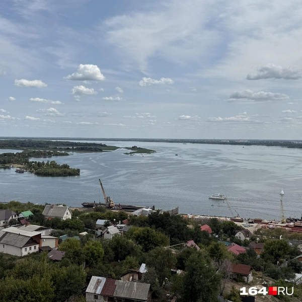 Источник: Сергей Петунин / 164.RU