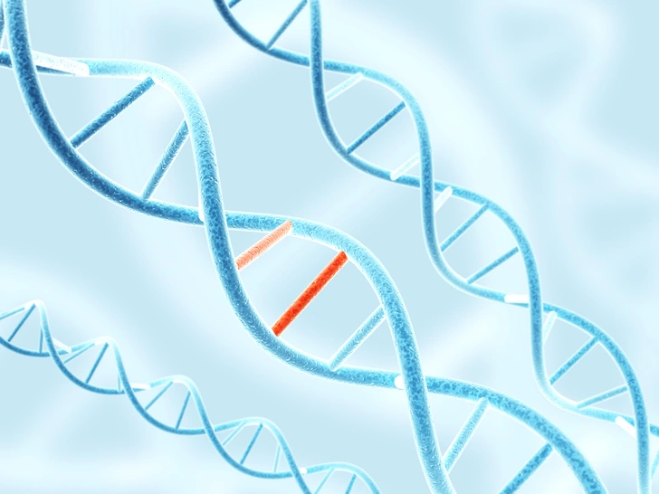 Генетические мутации могут быть не столь хаотичными, как считалось ранее