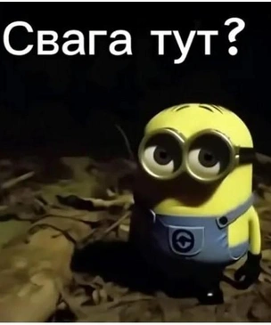 Самые смешные мемы за осень 2025 года