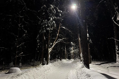 Пермь накроют снегопады: прогноз на неделю