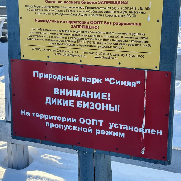 Источник: Илья Константинов / 14.RU
