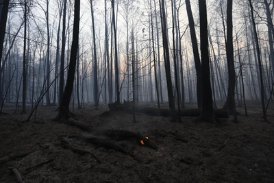С 1 апреля в Рязанской области начался пожароопасный сезон