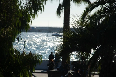 Пансионат «Эдем» в Сочи судится из-за бассейна у моря