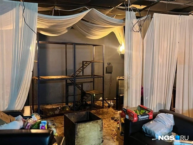 По словам хозяйки антикафе, оно стало таким по вине управляющей, которая больше не работает | Источник: Настасья Медведева / NGS.RU