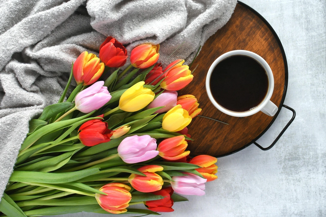 Какие цветы принято дарить на 8 марта | Источник: Shutterstock/Fotodom.ru